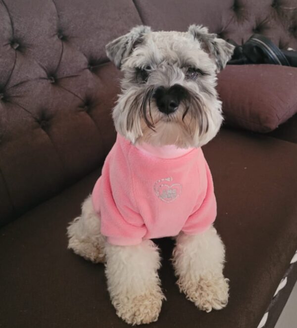 Sueter para perros y gatos - Image 4