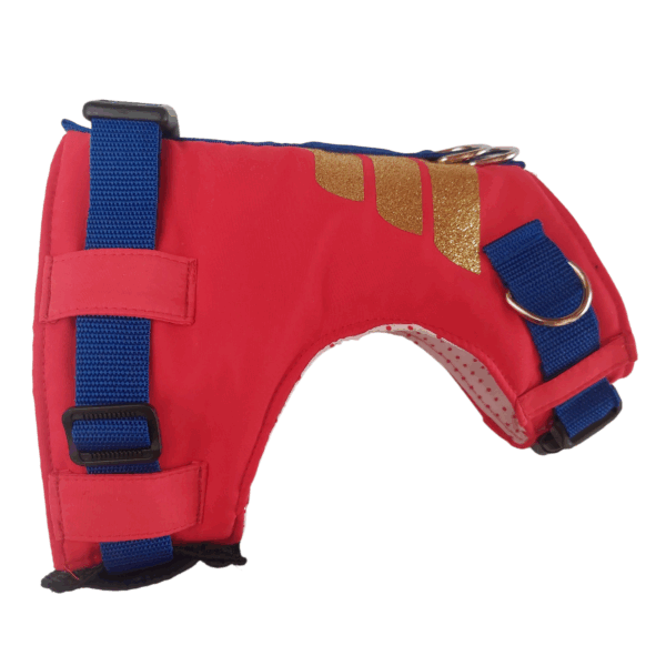 Pechera de la Perruna Maravilla - Image 4